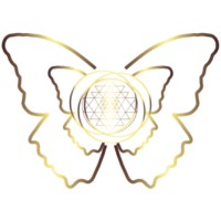 Lisy Butterfly logo - Similar company to Časopis Reflex