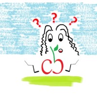 Coding Beginners logo - Similar company to Beginners Python