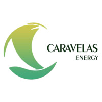 Caravelas Energy logo - Similar company to Ls Office Serviços De Telecom E Construções Eirelli