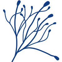 Climate Adaptation Partners logo - Similar company to Adaptation International
