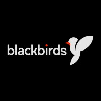 Blackbirds logo - Similar company to Blackbirds