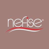 Nefise logo - Similar company to Orbit29