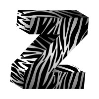 Zebra logo - Similar company to Jetson