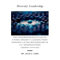 Diversity management logo - Similar company to Ethnic Designs