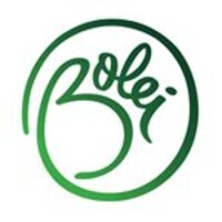 Bolei logo - Similar company to Ddf.Lab