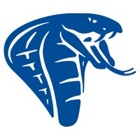 Cobra Enterprises logo - Similar company to Gnb Global Inc.