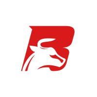BigBull Technologies logo - Similar company to Codelok