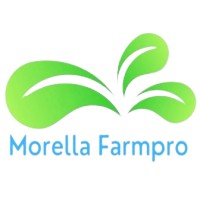 Morella Farmpro LLP logo - Similar company to Chit Chat Chai®️