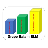 Grupo Balam BLM SA logo - Similar company to Murmex Servicios Y Soluciones