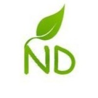NayaDream logo - Similar company to Volkteq
