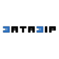 DATADIP logo - Similar company to It Technology