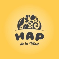 HAP de la Vlad logo - Similar company to Codemy