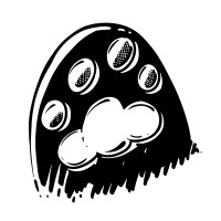 Black Paw Educational Technologies logo - Similar company to Mef University Celt