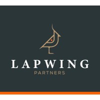 Lapwing Partners logo - Similar company to Fenicogd