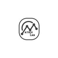 MatrixLabng logo - Similar company to Ingenio Advisory