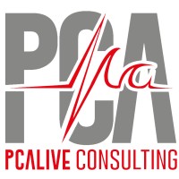 PcAlive Consulting Srl logo - Similar company to Consorzio Stabile Argo Scarl