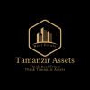 Tamanzir Assets logo - Similar company to Visionwebppc