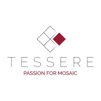 TESSERE S.R.L. logo - Similar company to Doga Levelling System