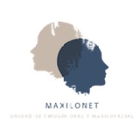 Maxilonet logo - Similar company to Altinn