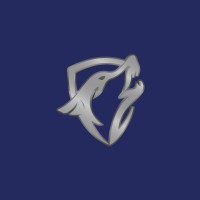 Alpha IT Solutions logo - Similar company to Alpha It Solutions