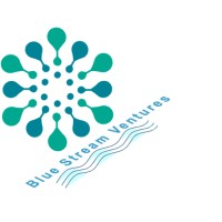 Blue Stream Ventures LLP logo - Similar company to Umbeo Technologies