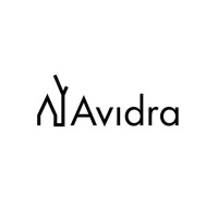Avidra logo - Similar company to Baal Arquitectos