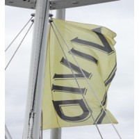 vivid-ai logo - Similar company to Vivid-Ai