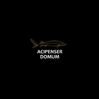 Acipenser Domum logo - Similar company to Wheretogo.Me