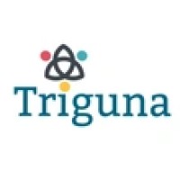 Triguna Consulting Private Limited logo - Similar company to Triguna Projects Pvt Ltd