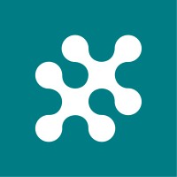 The Skills Network logo - Similar company to Realise