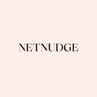 Netnudge logo - Similar company to Psy Esprit