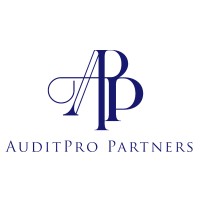 AuditPro Partners logo - Similar company to Mylicorne