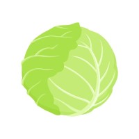 Cabbage Technologies logo - Similar company to Precognosis Ai