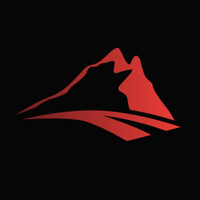 The Millennium Foundation logo - Similar company to Safepass