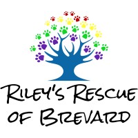 Riley'S Rescue Of Brevard