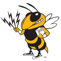 Women in Electrical and Computer Engineering at Georgia Tech logo - Similar company to Women In Electrical Engineering And Computer Science