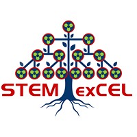 Stem Excel