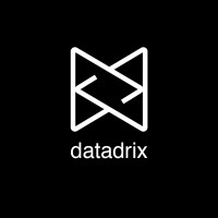 datadrix logo - Similar company to Datadrix