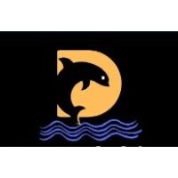 DevDolphins logo - Similar company to Nt Indosoft Pvt Ltd
