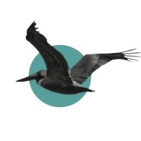 Vesimi Advisory logo - Similar company to Utilitywire