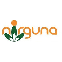 Nirguna