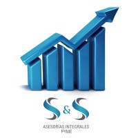 S & S Asesorías Integrales Pyme