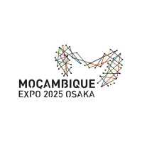 Cogemo Moçambique logo - Similar company to Nhasi Consultants
