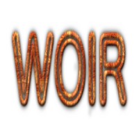 WOIR Software India Pvt. Ltd. logo - Similar company to Roxrow Technologies