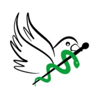 Boas Novas Gestão de Saúde logo - Similar company to Visio Serviços Médicos