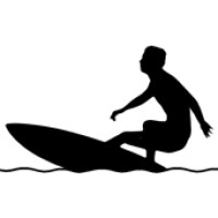 Silicon Surfer