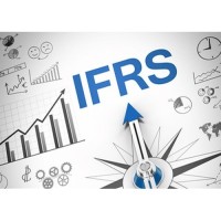 Audit & IFRS support logo - Similar company to Algi Audit • ალგი აუდიტი