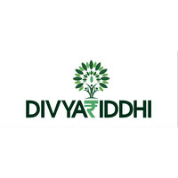 DivyaRiddhi Financial Services logo - Similar company to Srr Capital