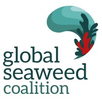 Global Seaweed Coalition logo - Similar company to Ocean Intelligence Services