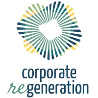 Corporate Regeneration International logo - Similar company to Norsys